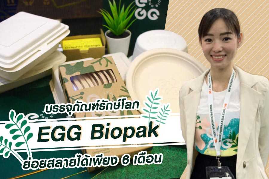 บรรจุภัณฑ์รักษ์โลก EGG Biopak ใช้เวลาย่อยสลายเพียง 6 เดือน