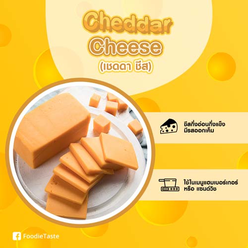 เชดดาชีส Cheddar Cheese