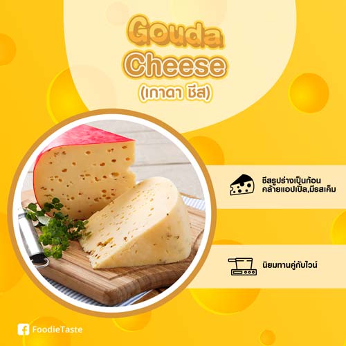 เกาดาชีส Gouda Cheese
