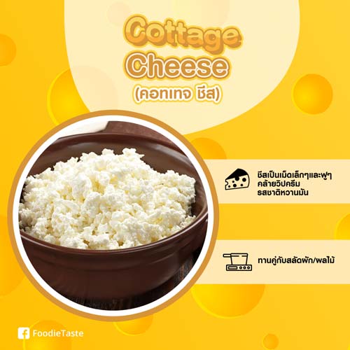 คอทเทจชีส Cottage Cheese