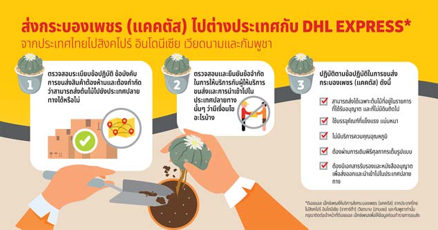 DHL THAILAND พร้อมหนุนส่งออกแคคตัสทั่วอาเซียน