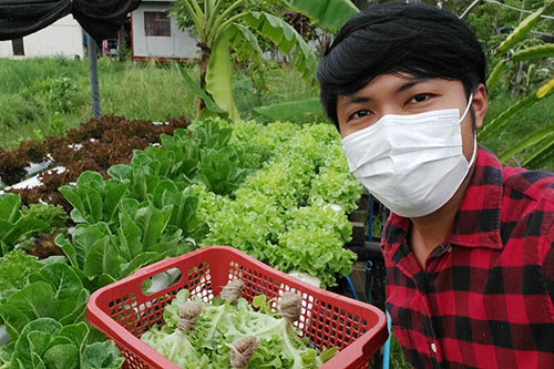 ปลูกผักไฮโดรโปนิกส์ขาย อาชีพแนวใหม่ Smart Farmer ปลูกง่าย ลงทุนน้อย รายได้ดี