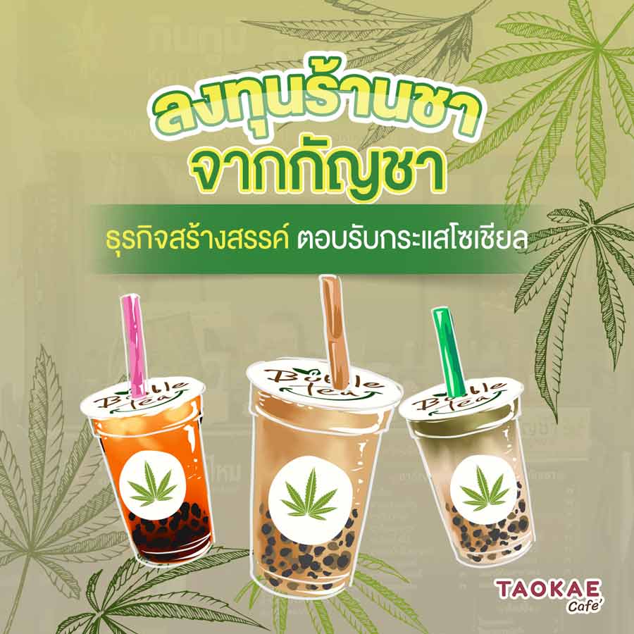 ลงทุนร้านชา จากกัญชา ธุรกิจสร้างสรรค์ ตอบรับกระแสโซเชียล