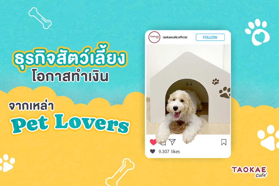 ธุรกิจสัตว์เลี้ยง โอกาสทำเงิน จากเหล่า Pet Lovers