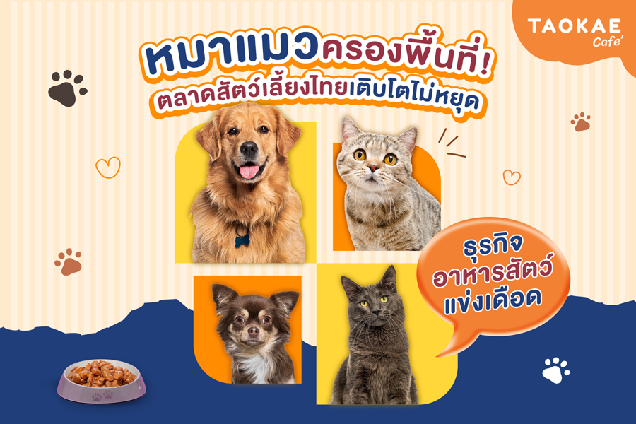 หมาแมวครองพื้นที่! ตลาดสัตว์เลี้ยงไทยเติบโตไม่หยุด ธุรกิจอาหารสัตว์แข่งเดือด