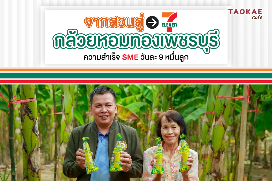 จากสวนสู่เซเว่นฯ ความสำเร็จ SME กล้วยหอมทองเพชรบุรี วันละ 9 หมื่นลูก