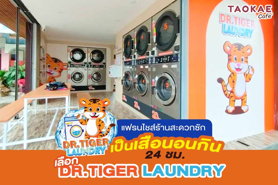 แฟรนไชส์ร้านสะดวกซัก เป็นเสือนอนกิน 24 ชม. เลือก Dr.Tiger Laundry