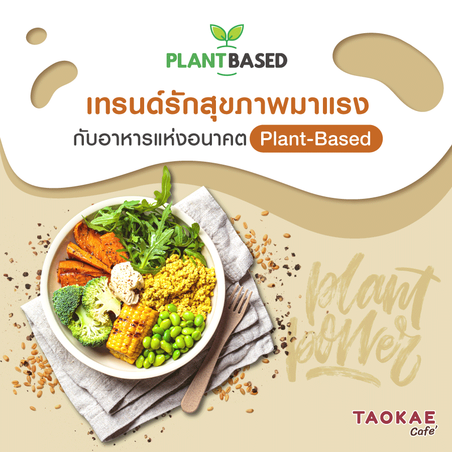 เทรนด์รักสุขภาพมาแรง กับอาหารแห่งอนาคต Plant-Based