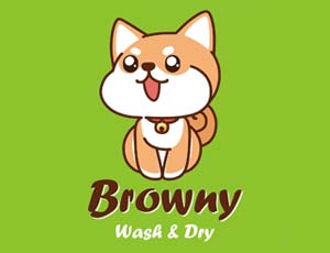 แฟรนไชส์ Browny 24Hr Wash & Dry