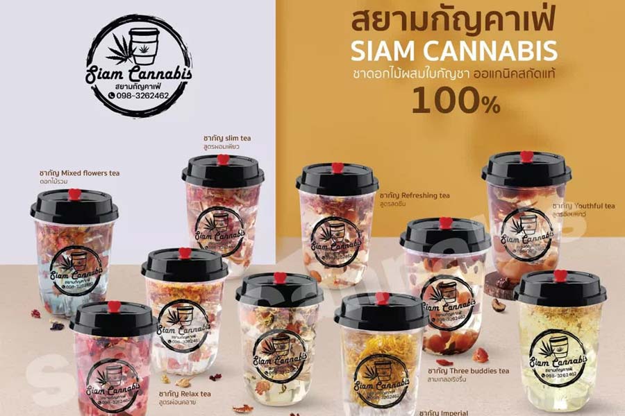 เครื่องดื่มกัญชา สยามกัญคาเฟ่ Siam Cannabis