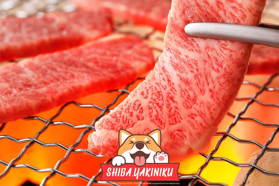 ร้านเนื้อย่าง Shiba Yakiniku Chiangrai