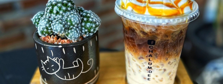 ชาลำดี แฟรนไชส์ ชา กาแฟสด กาแฟโบราณ สำหรับคนอยากเปิดร้านกาแฟ