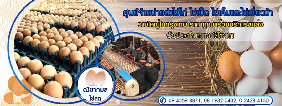 รูปวัตถุดิบ ณิชากมล ไข่สด