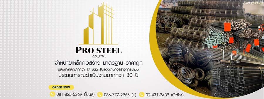 รูปโครงสร้างร้านค้า Pro Steel บริษัท โปรสตีล จำกัด