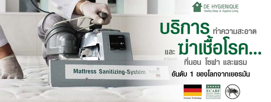 De Hygienique ผู้เชี่ยวชาญด้านการบริการสุขอนามัยภายในบ้านแบบบครบวงจร