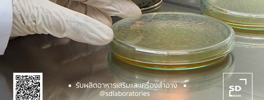 รูปบริการ SD Laboratories โรงงานรับผลิตเครื่องสำอางค์ อาหารเสริม