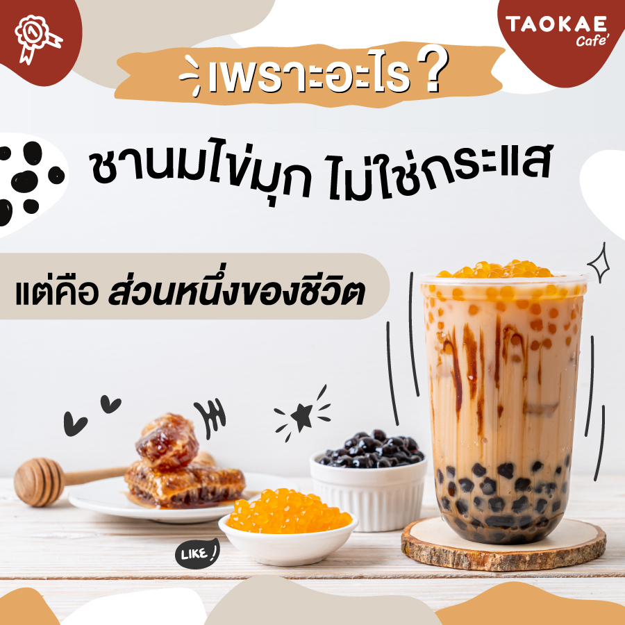 ชานมไข่มุก เพราะอะไร ? ชานมไข่มุก ไม่ใช่กระแส แต่คือ ส่วนหนึ่งของชีวิต