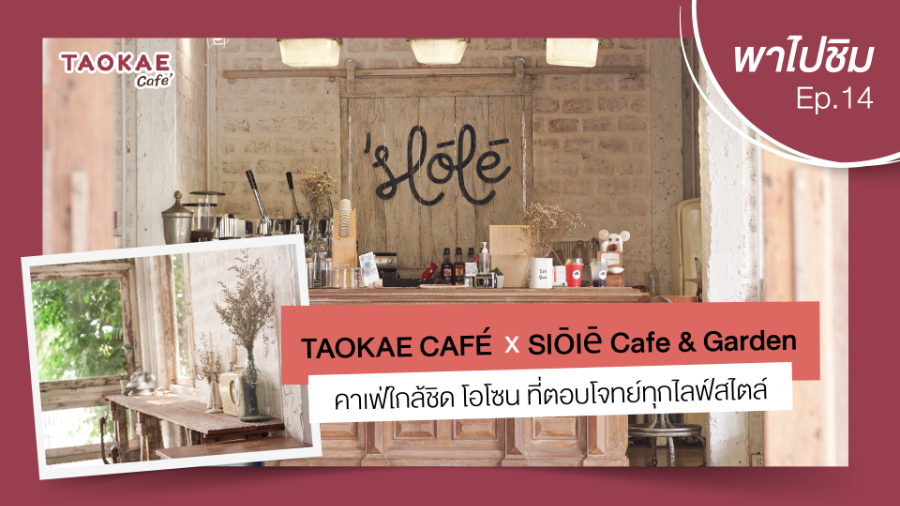 เถ้าแก่พาไปชิม  | Slōlē Cafe & Garden คาเฟ่ใกล้ชิด โอโซน ที่ตอบโจทย์ทุกไลฟ์สไตล์