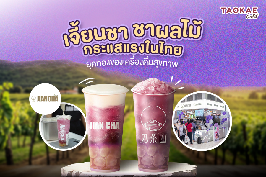 เจี้ยนชา ชาผลไม้ กระแสแรงในไทย ยุคทองของเครื่องดื่มสุขภาพ