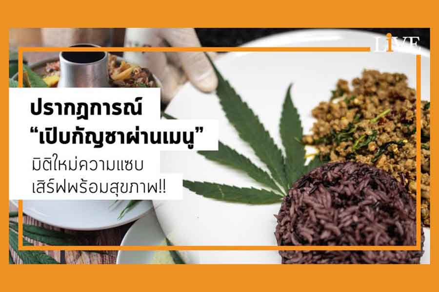 โมเดลธุรกิจใหม่ ร้านอาหารกัญชา นำร่อง 3 ร้านดัง