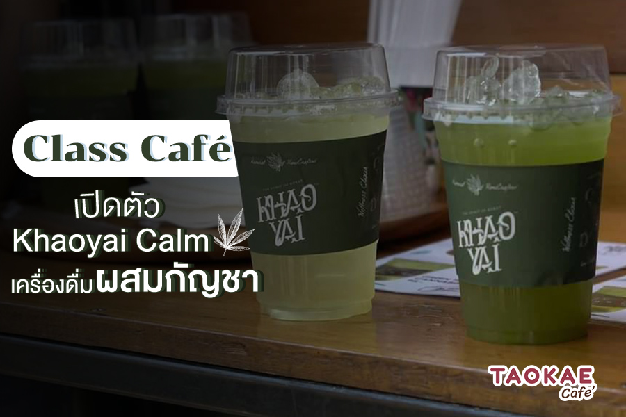 เบอร์เกอร์ Class Cafe เปิดตัวเครื่องดื่ม-อาหารจากกัญชา นำความรู้จากงานวิจัยมาปรับใช้อย่างเป็นประโยชน์