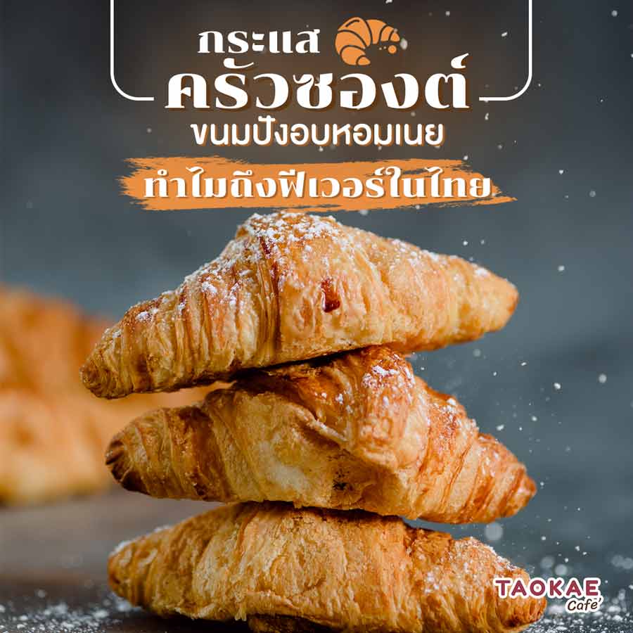 ครัวซองต์ กระแสครัวซองต์ ขนมปังอบหอมเนย ทำไมถึงฟีเวอร์ในไทย